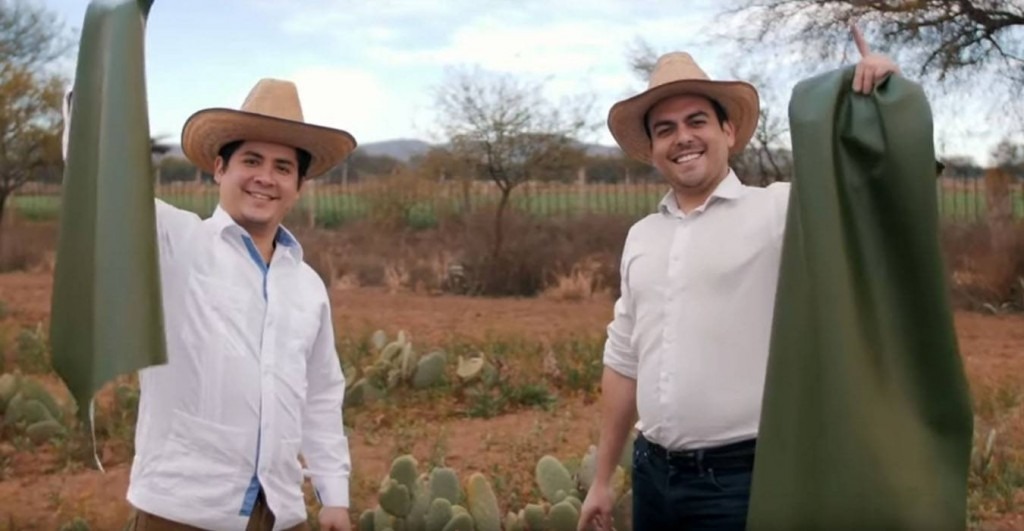 Il cactus diventa ecopelle per una moda più green