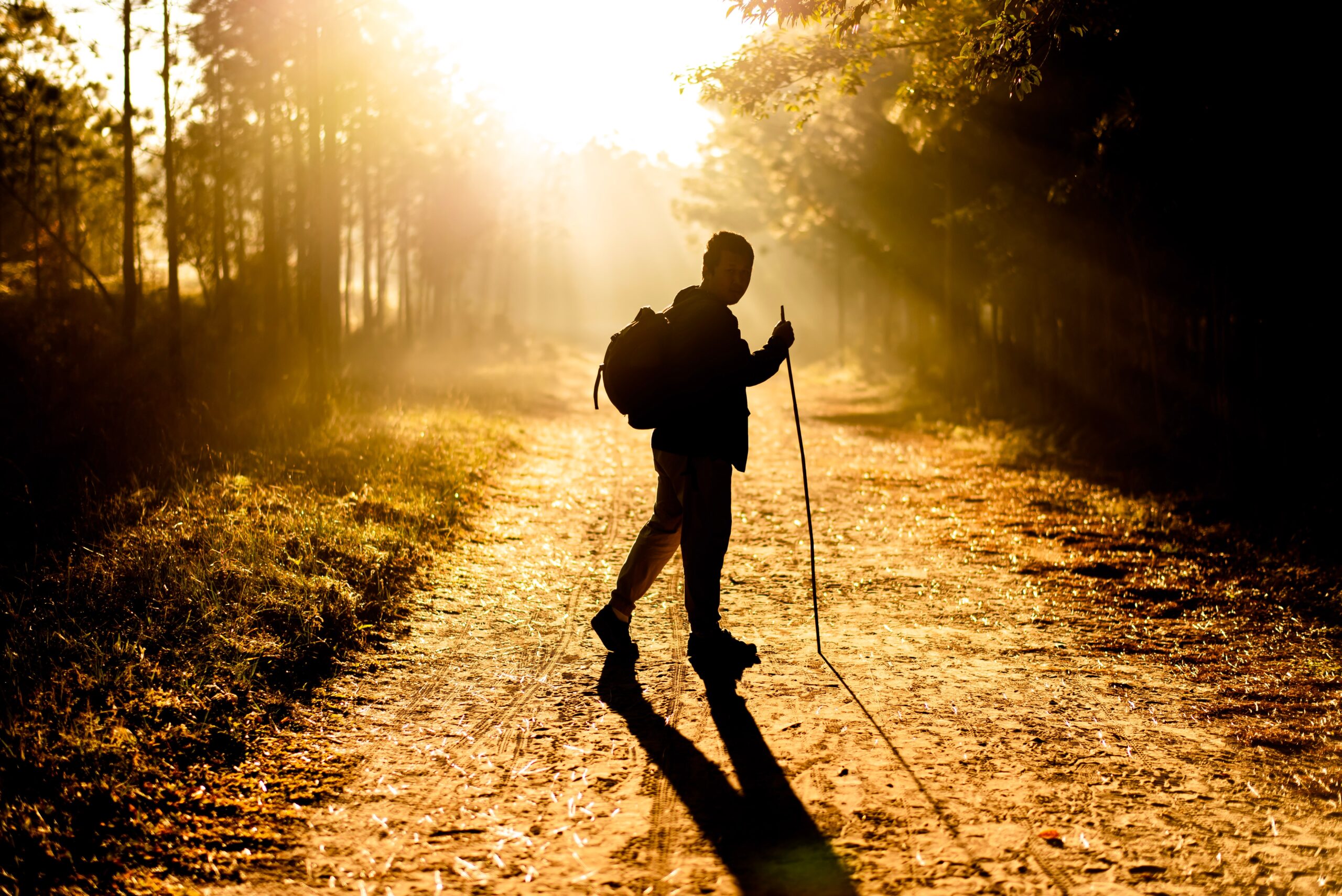 Mindful walking – Camminare è terapeutico
